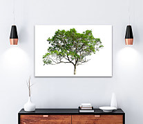 Obraz Strom šťastia 